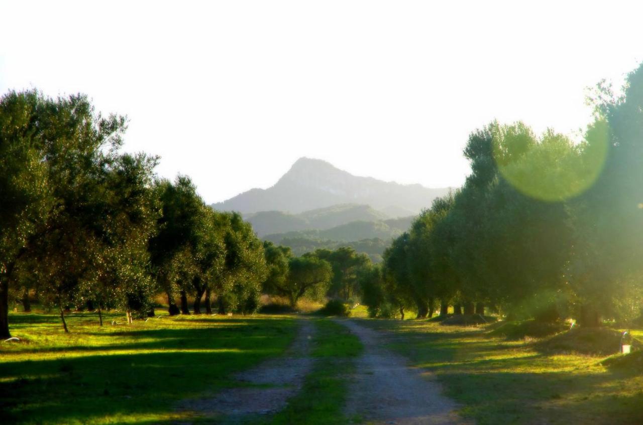 La Ultima Casa Masboquera Casa vacanze *