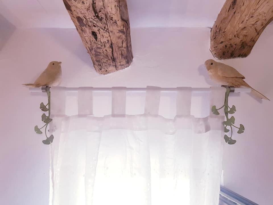 La Ultima Casa Masboquera