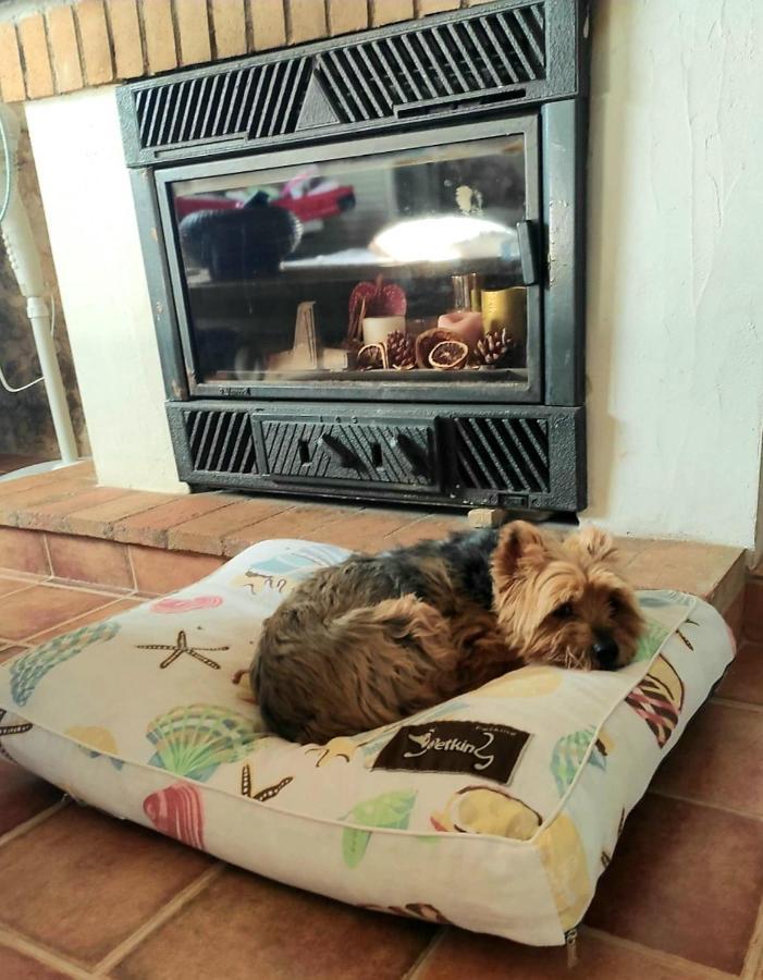 La Ultima Casa Masboquera Ferienhaus Mas Boquera